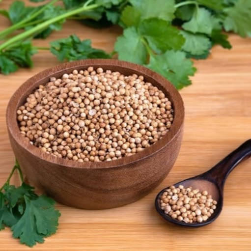 Indian dhaniya (coriander seeds) supplied by Shree Rajasvi