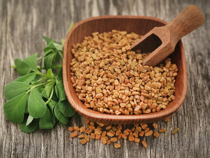 Indian fenugreek seeds supplied by Shree Rajasvi