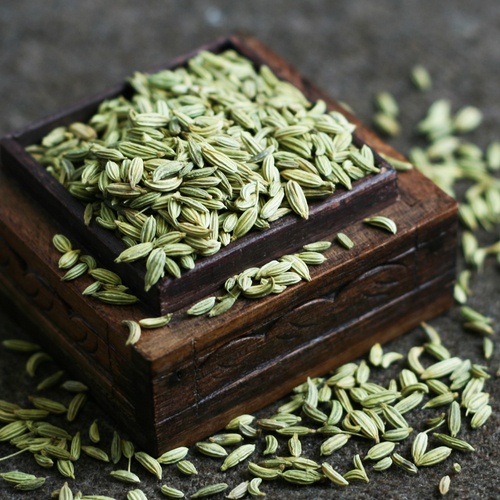 Indian fennel seeds supplied by Shree Rajasvi